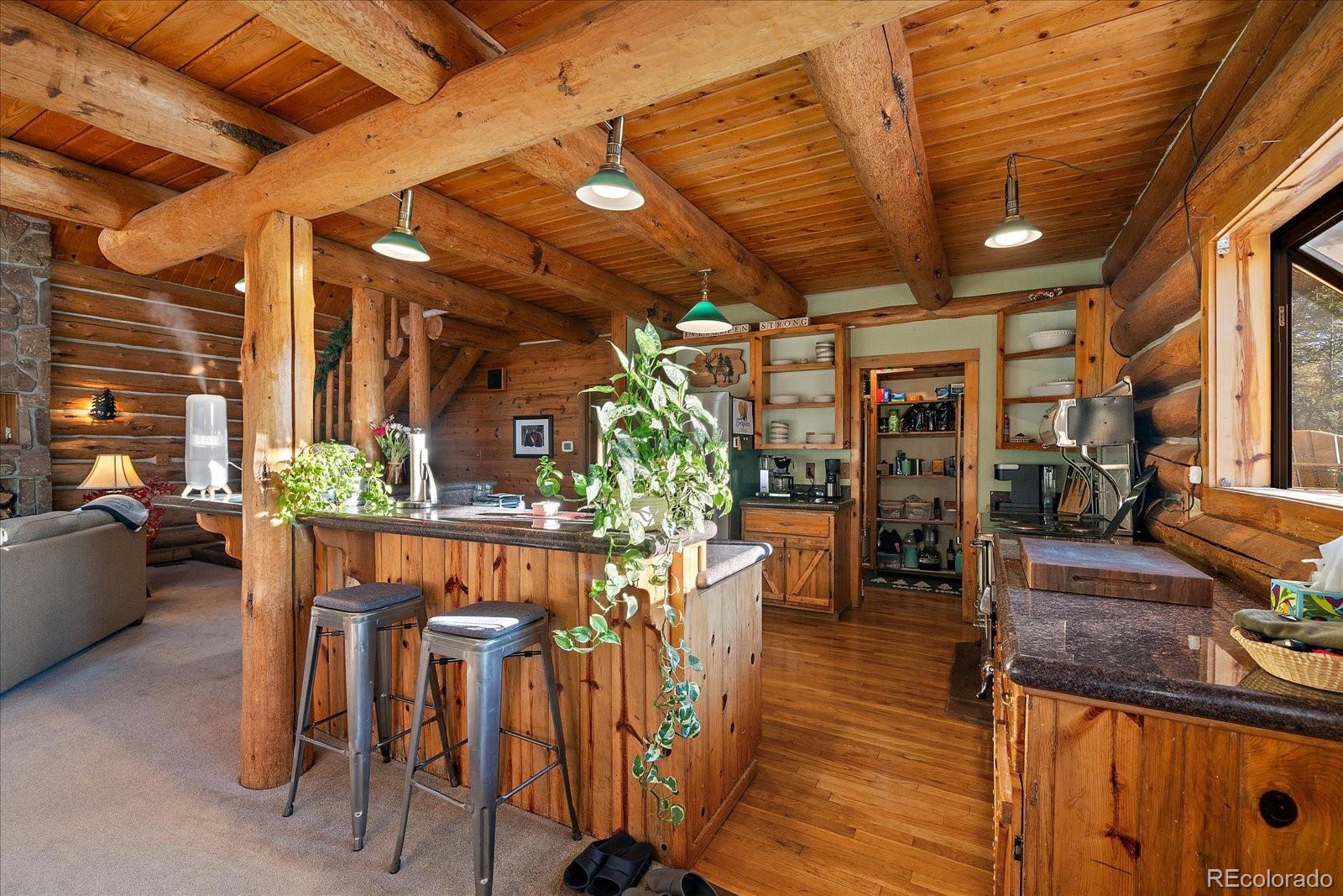 MLS Image #19 for 4660  independence trail,evergreen, Colorado