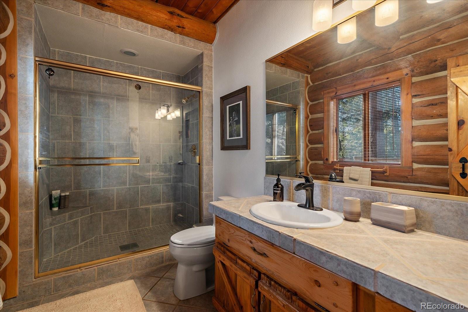 MLS Image #22 for 4660  independence trail,evergreen, Colorado