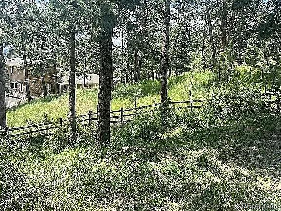MLS Image #44 for 4660  independence trail,evergreen, Colorado