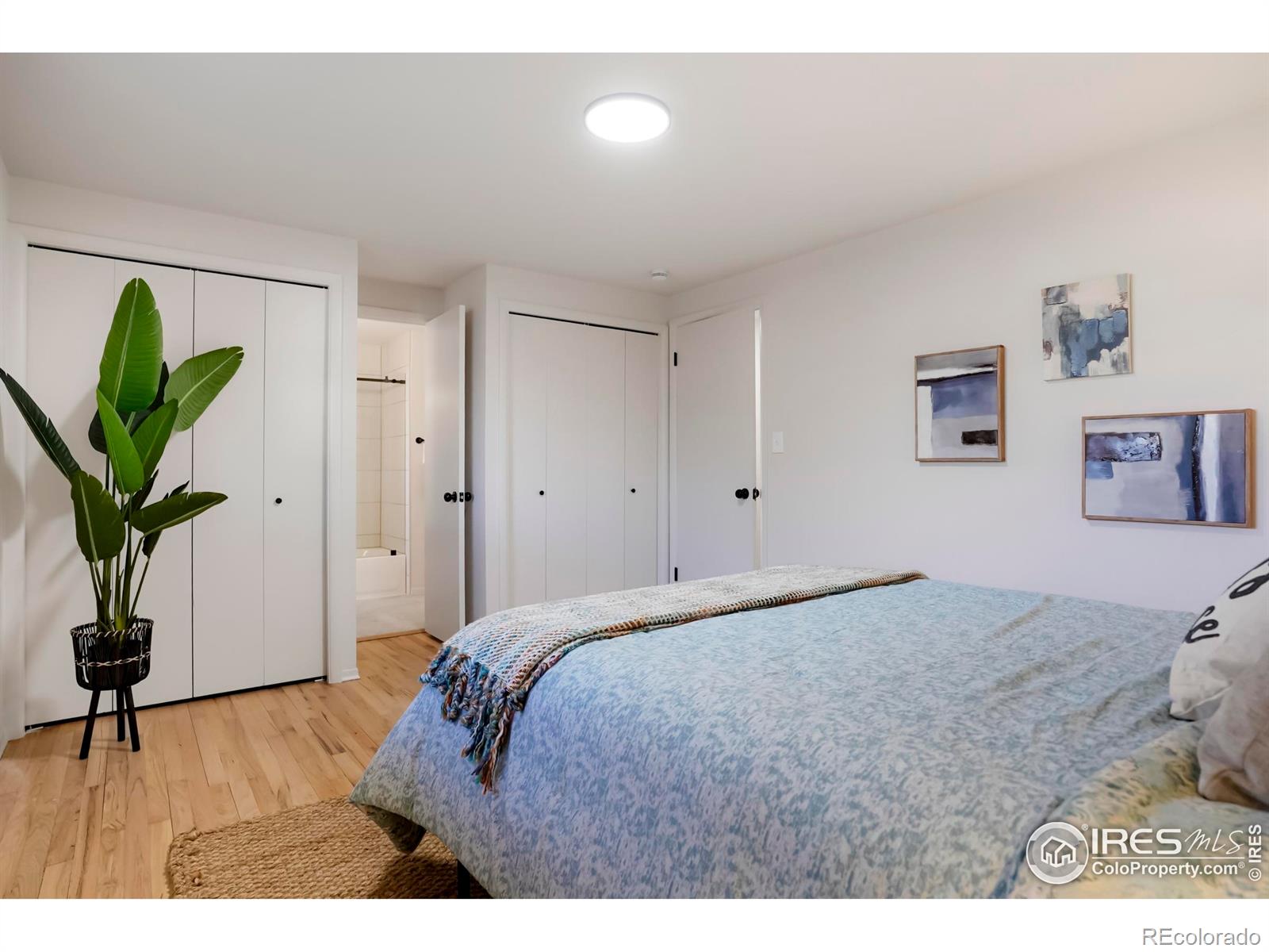 MLS Image #13 for 1045  rose street,longmont, Colorado