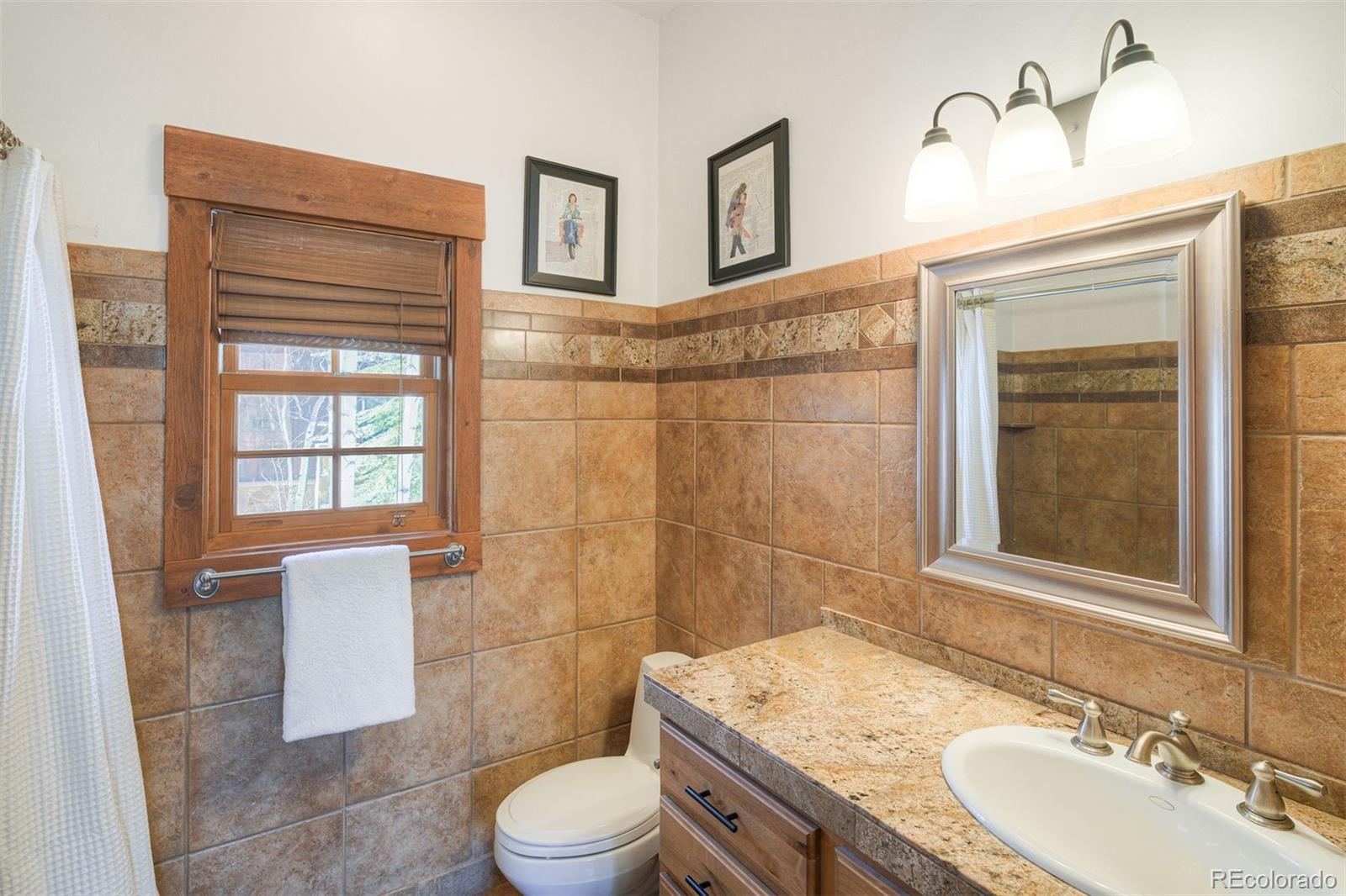 MLS Image #18 for 1725  falcon drive,silverthorne, Colorado