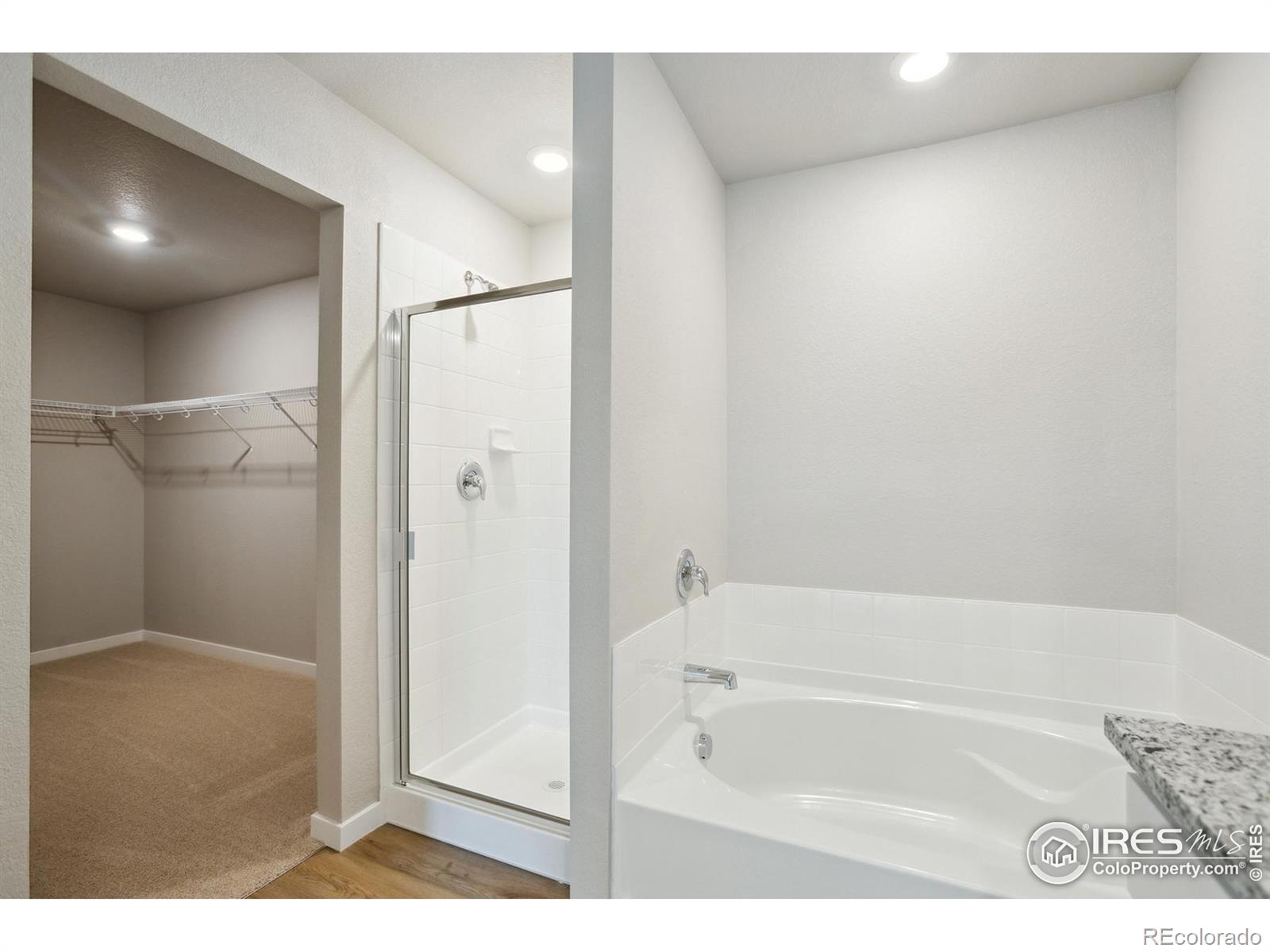 MLS Image #11 for 854  emerald lakes street,severance, Colorado