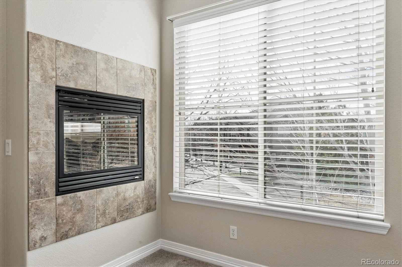 MLS Image #6 for 10064  bluffmont court,lone tree, Colorado
