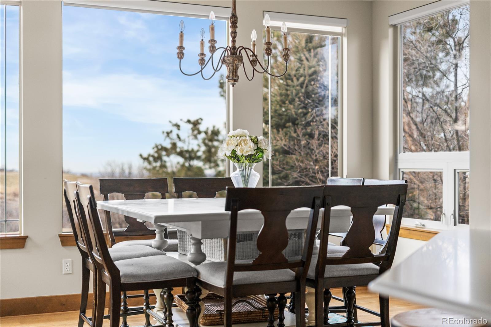 MLS Image #13 for 1251  buffalo ridge road,castle pines, Colorado