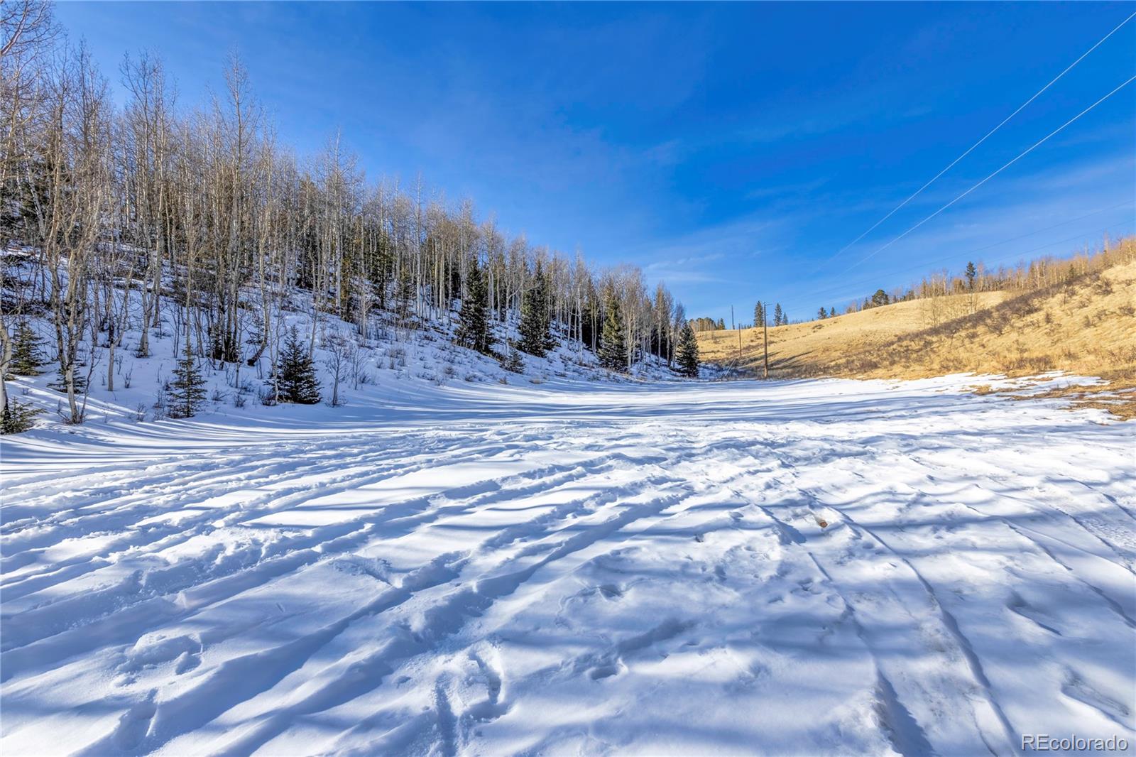MLS Image #4 for 12657 s highway 67 ,cripple creek, Colorado
