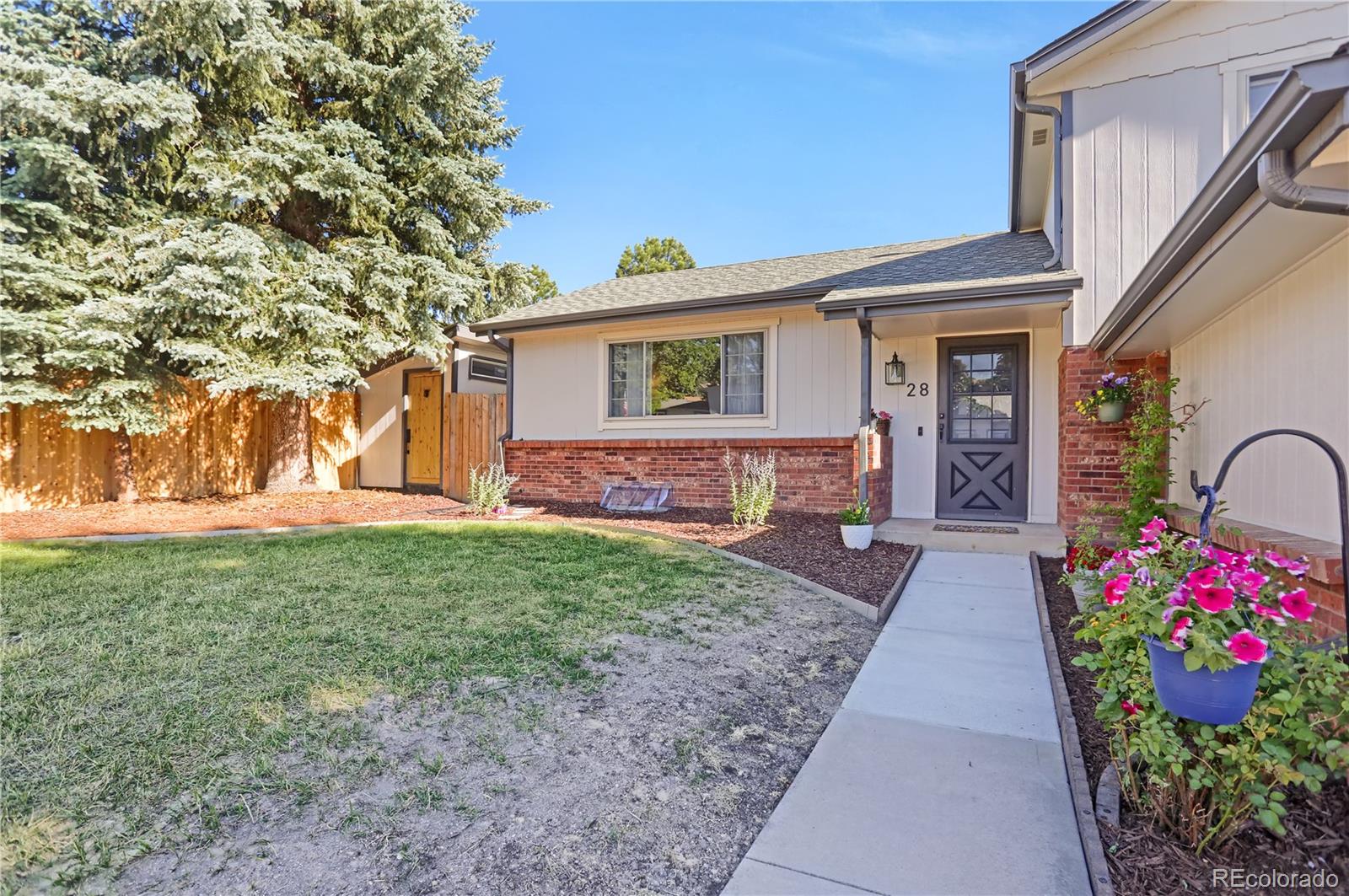 MLS Image #3 for 28  gordon drive,castle rock, Colorado