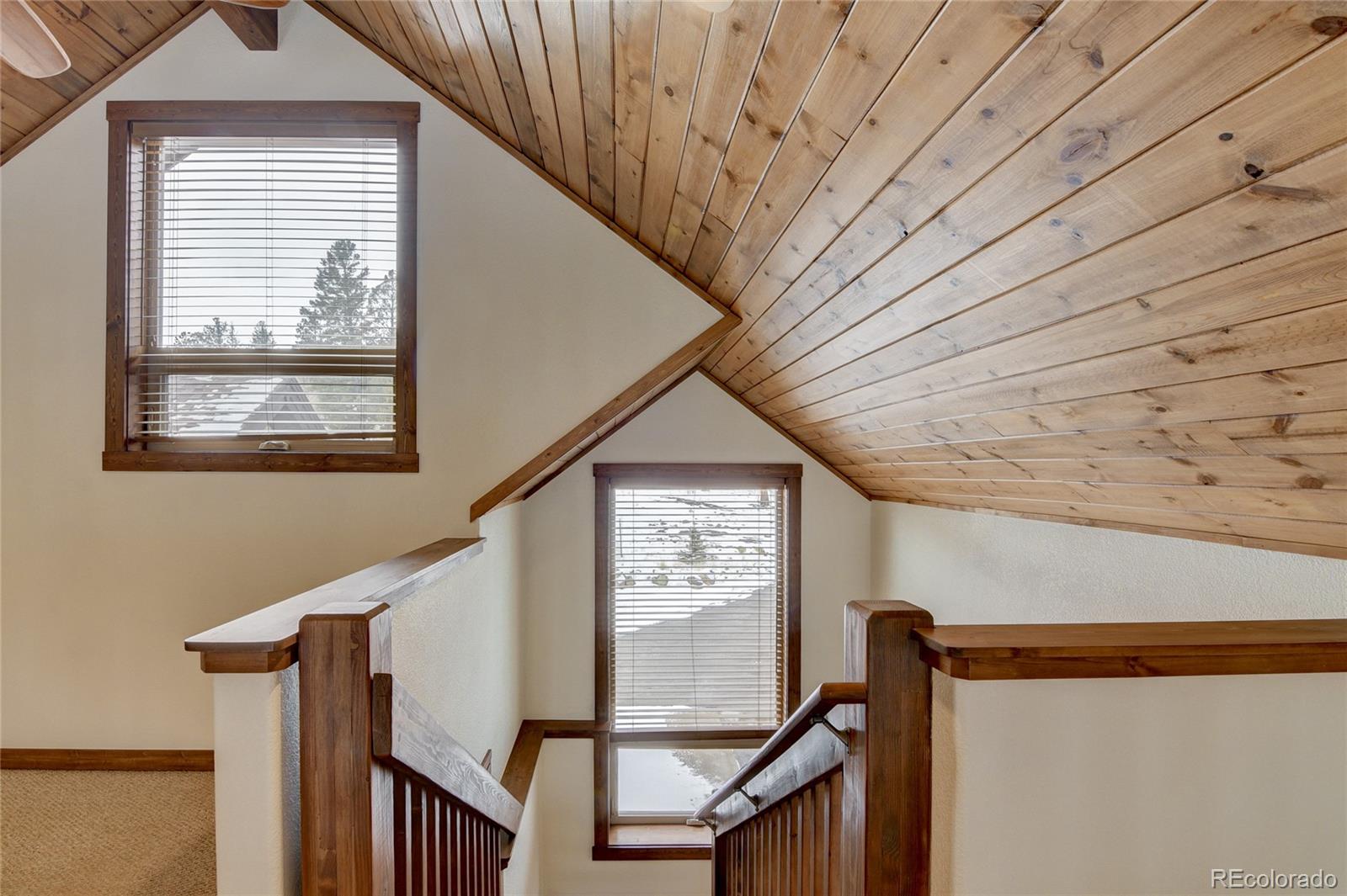 MLS Image #31 for 30220  columbia point,buena vista, Colorado