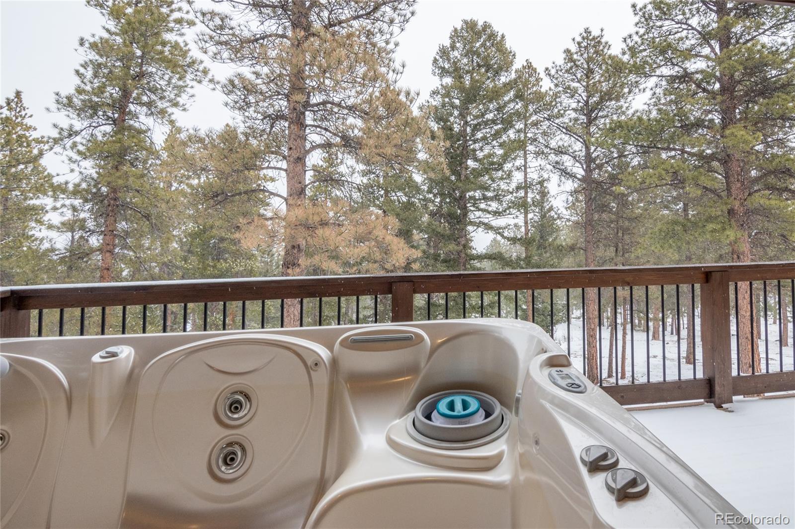 MLS Image #35 for 30220  columbia point,buena vista, Colorado