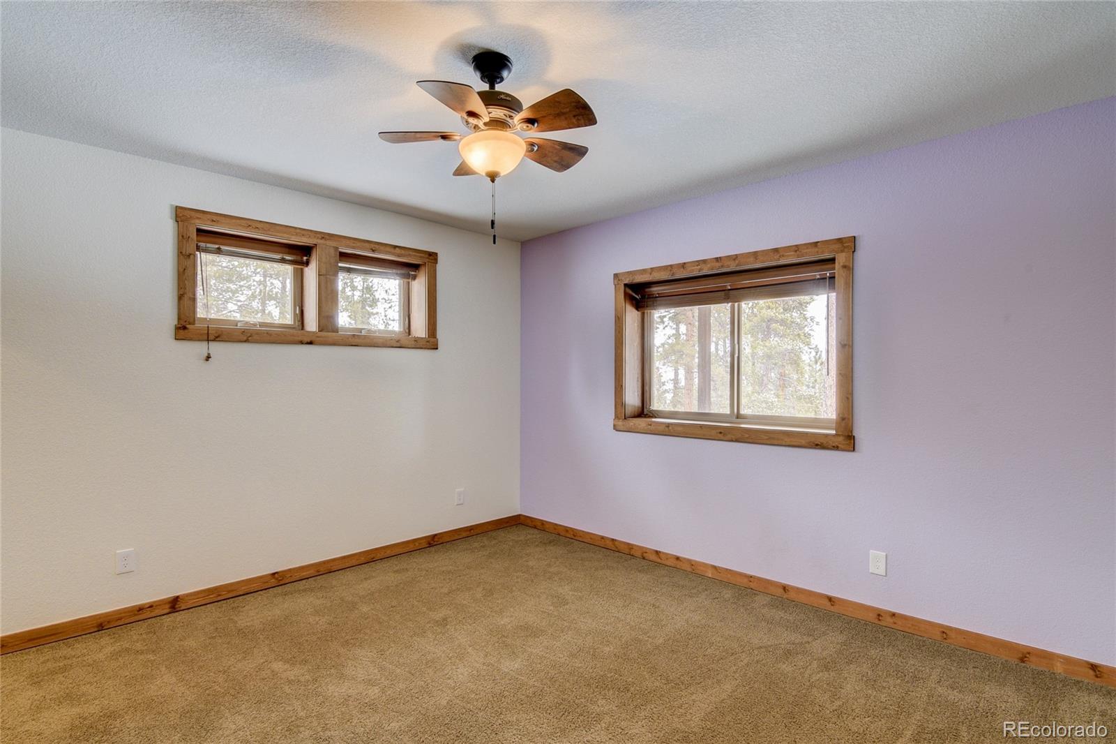 MLS Image #40 for 30220  columbia point,buena vista, Colorado