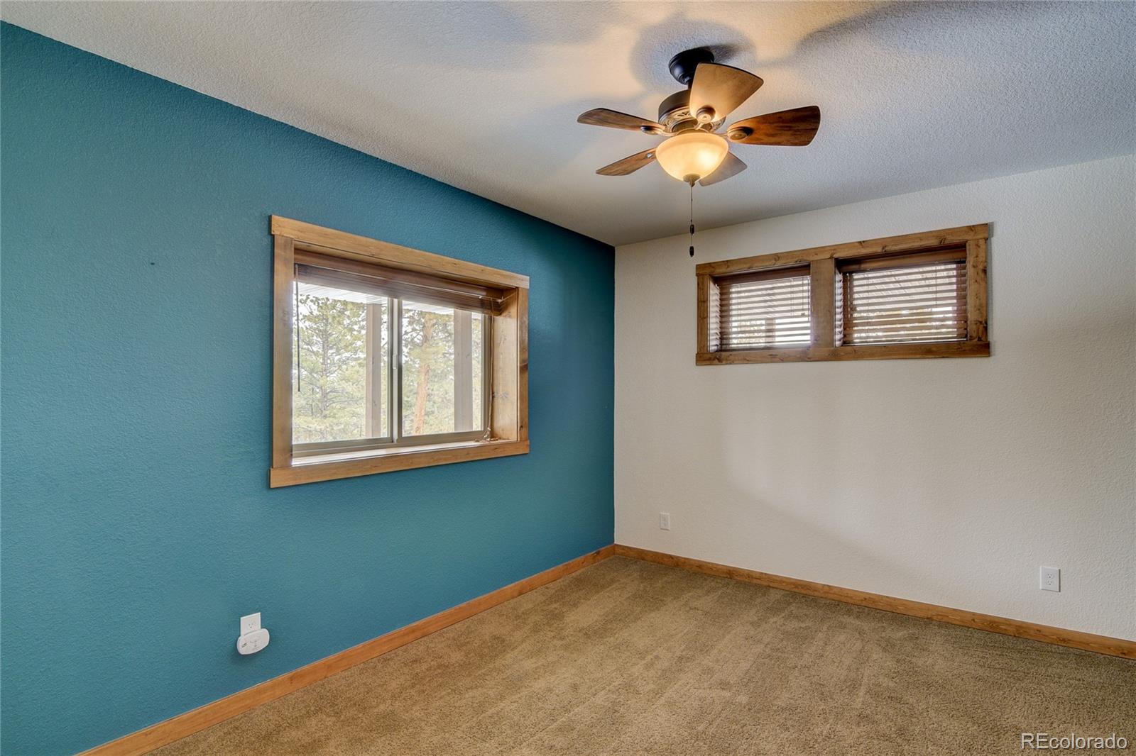 MLS Image #45 for 30220  columbia point,buena vista, Colorado