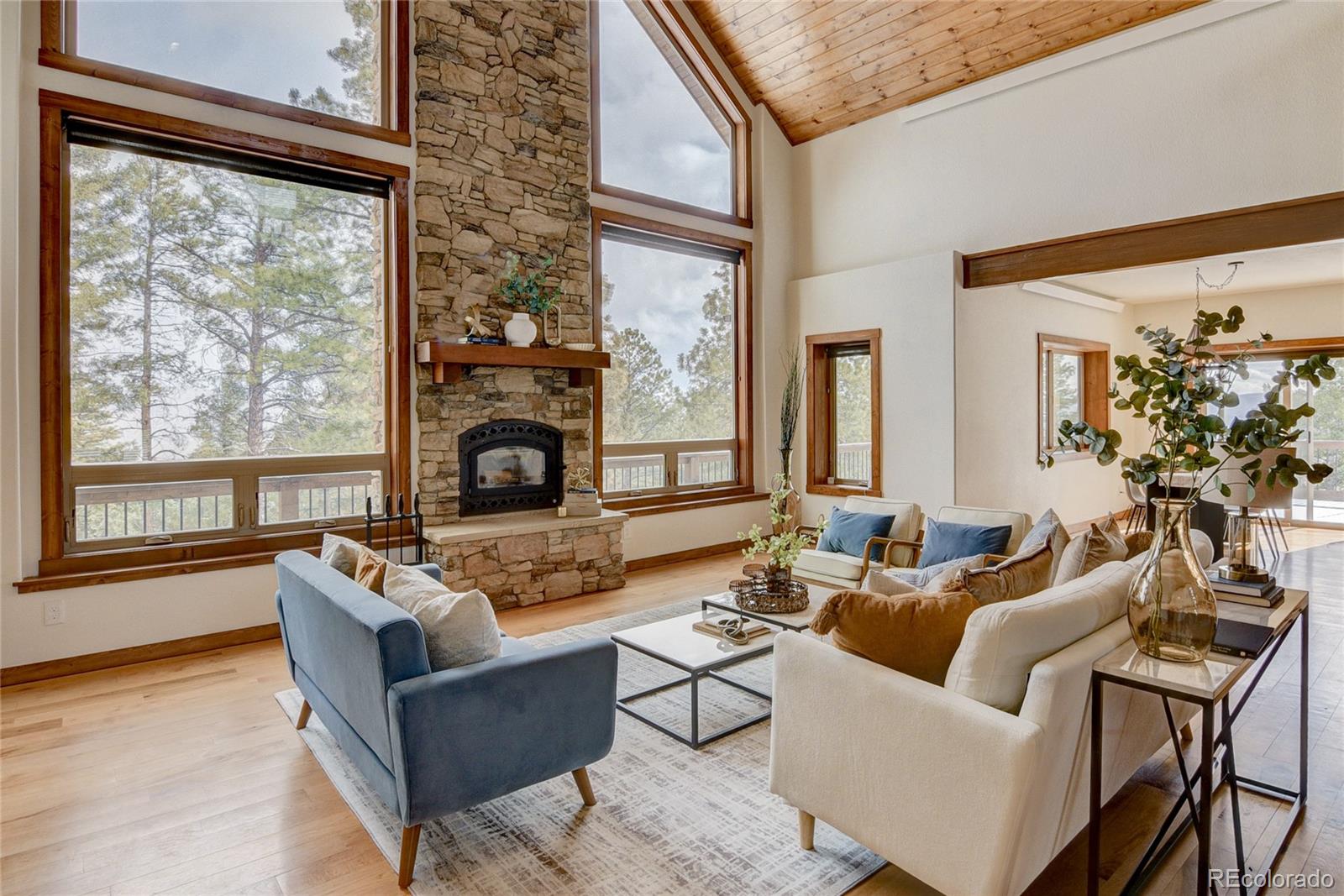 MLS Image #5 for 30220  columbia point,buena vista, Colorado
