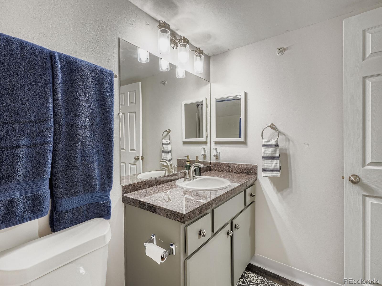 MLS Image #10 for 12931  ironstone way,parker, Colorado