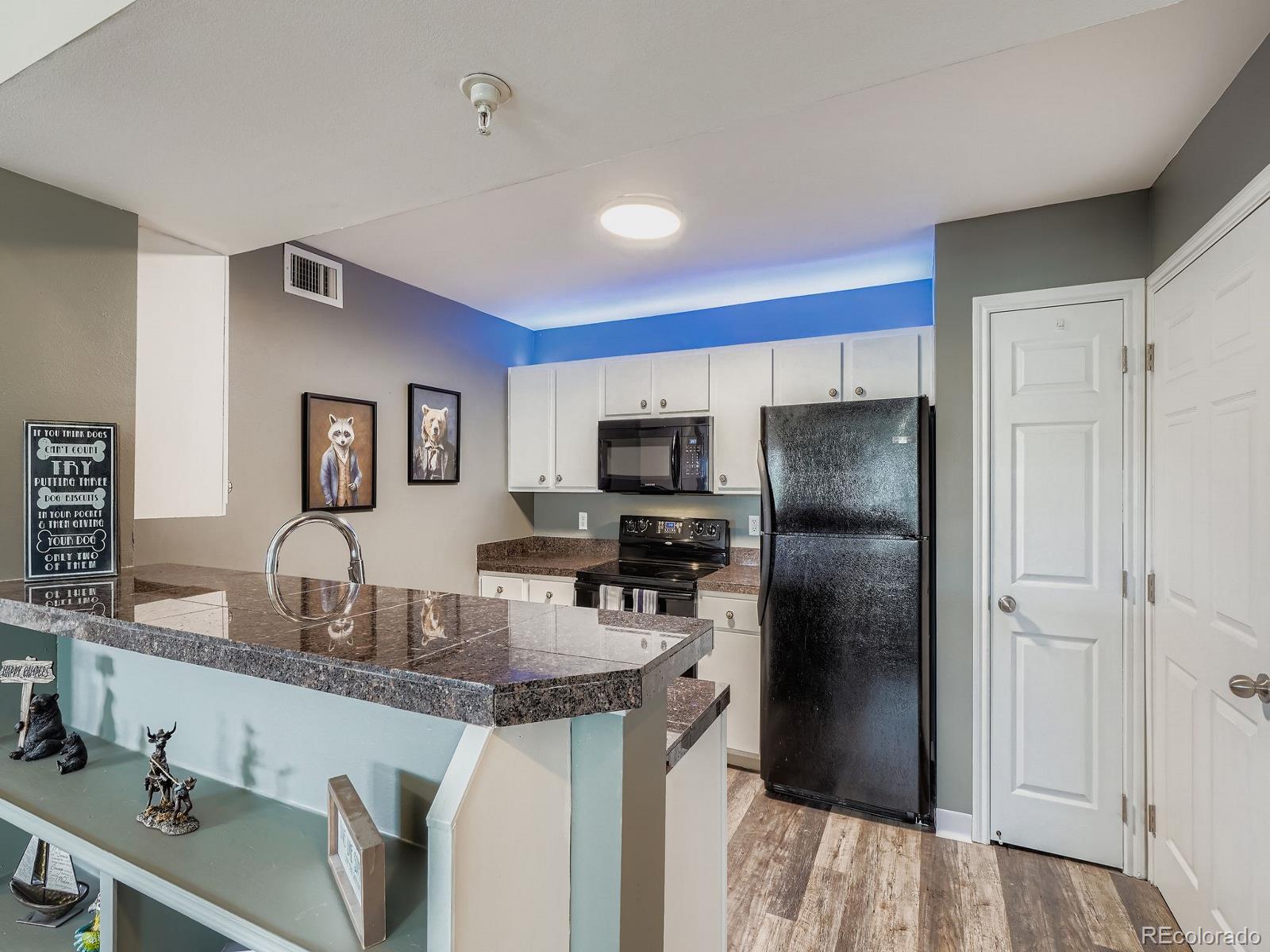 MLS Image #16 for 12931  ironstone way,parker, Colorado