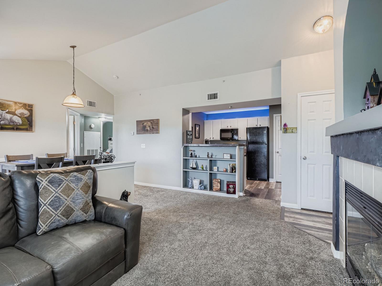 MLS Image #8 for 12931  ironstone way,parker, Colorado