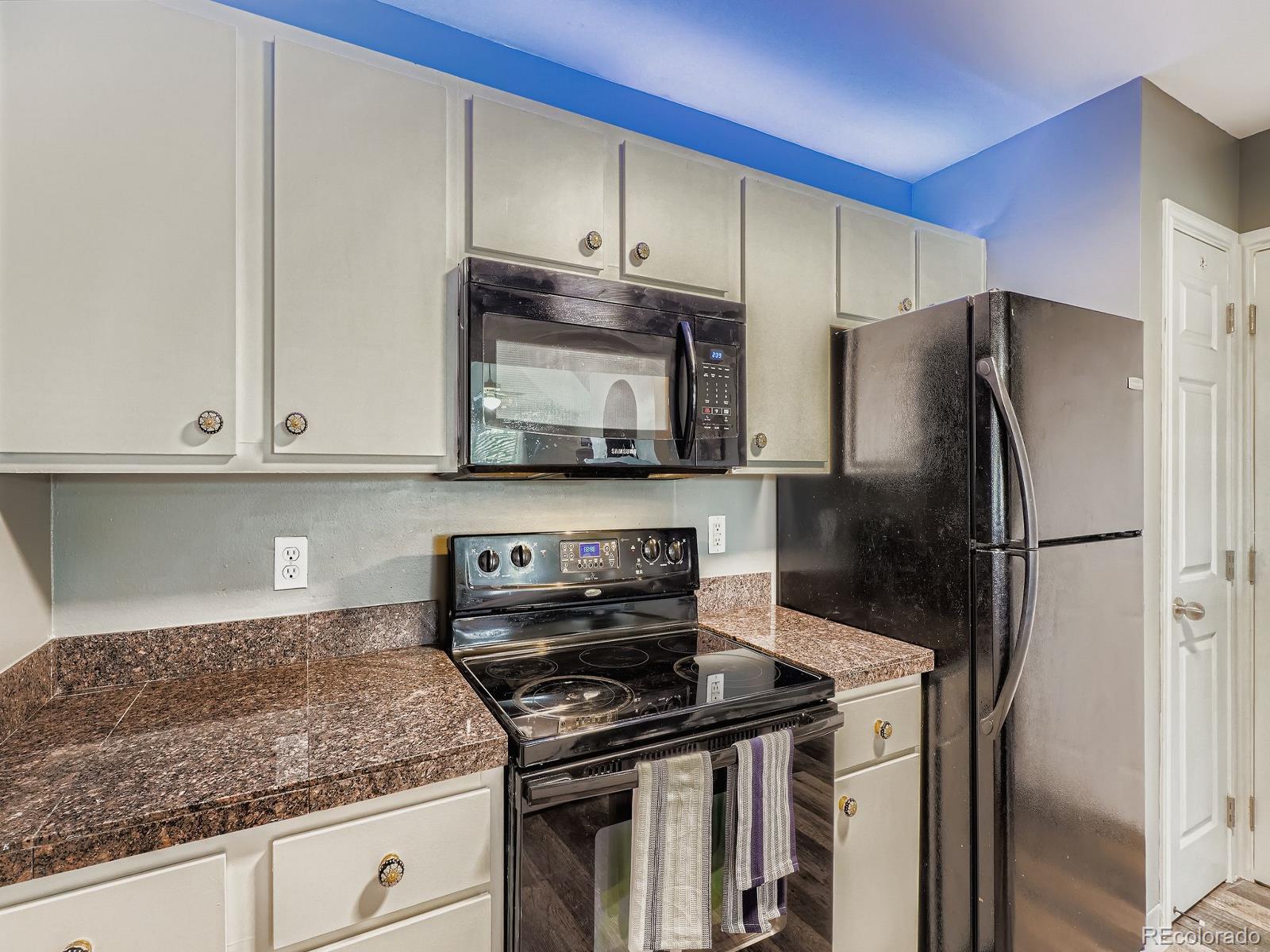 MLS Image #9 for 12931  ironstone way,parker, Colorado