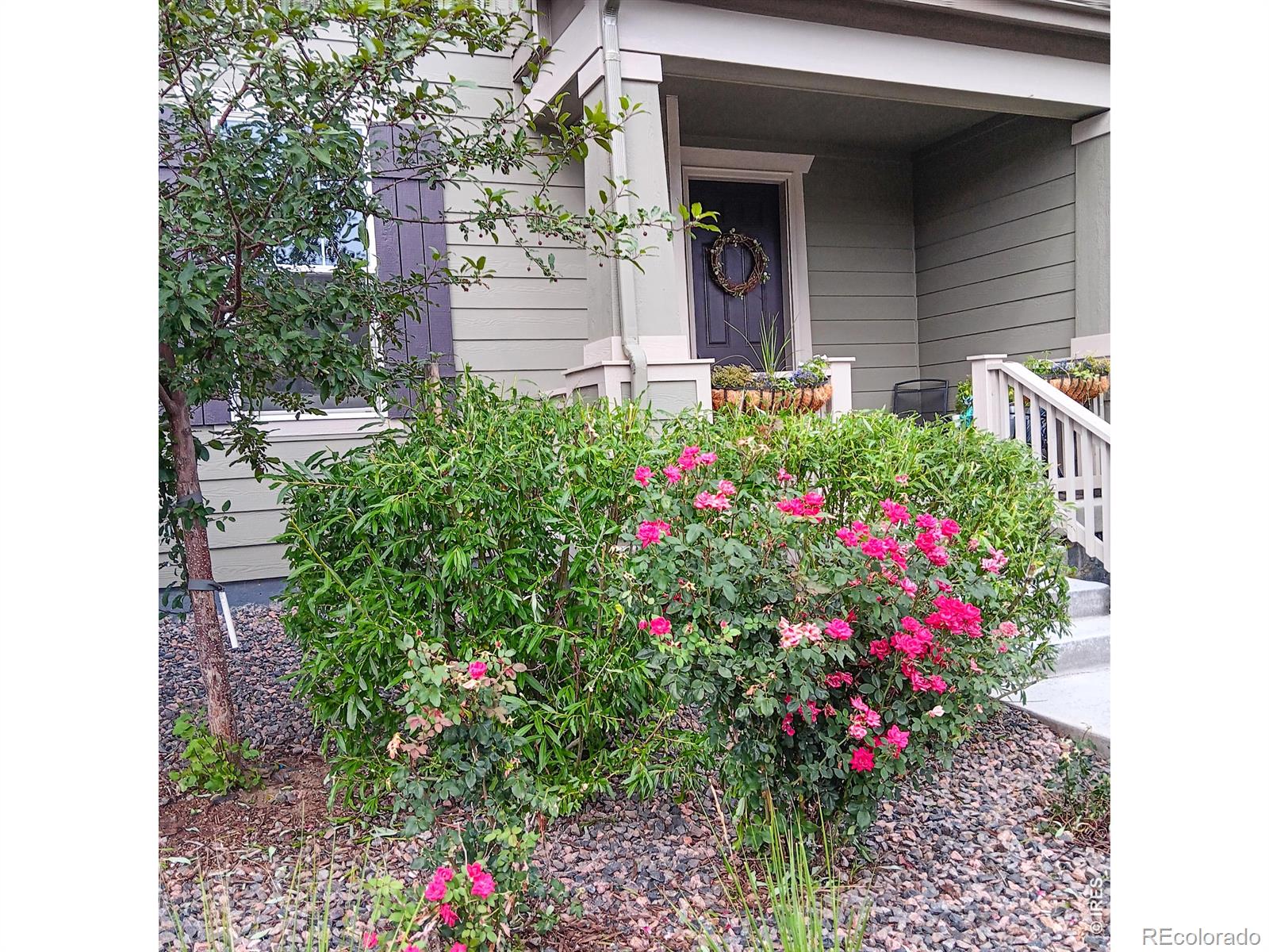 MLS Image #41 for 1154  anker drive,erie, Colorado