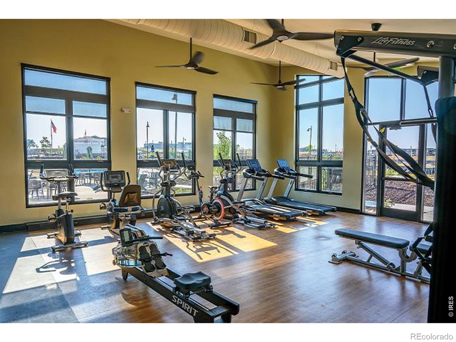 MLS Image #46 for 1154  anker drive,erie, Colorado
