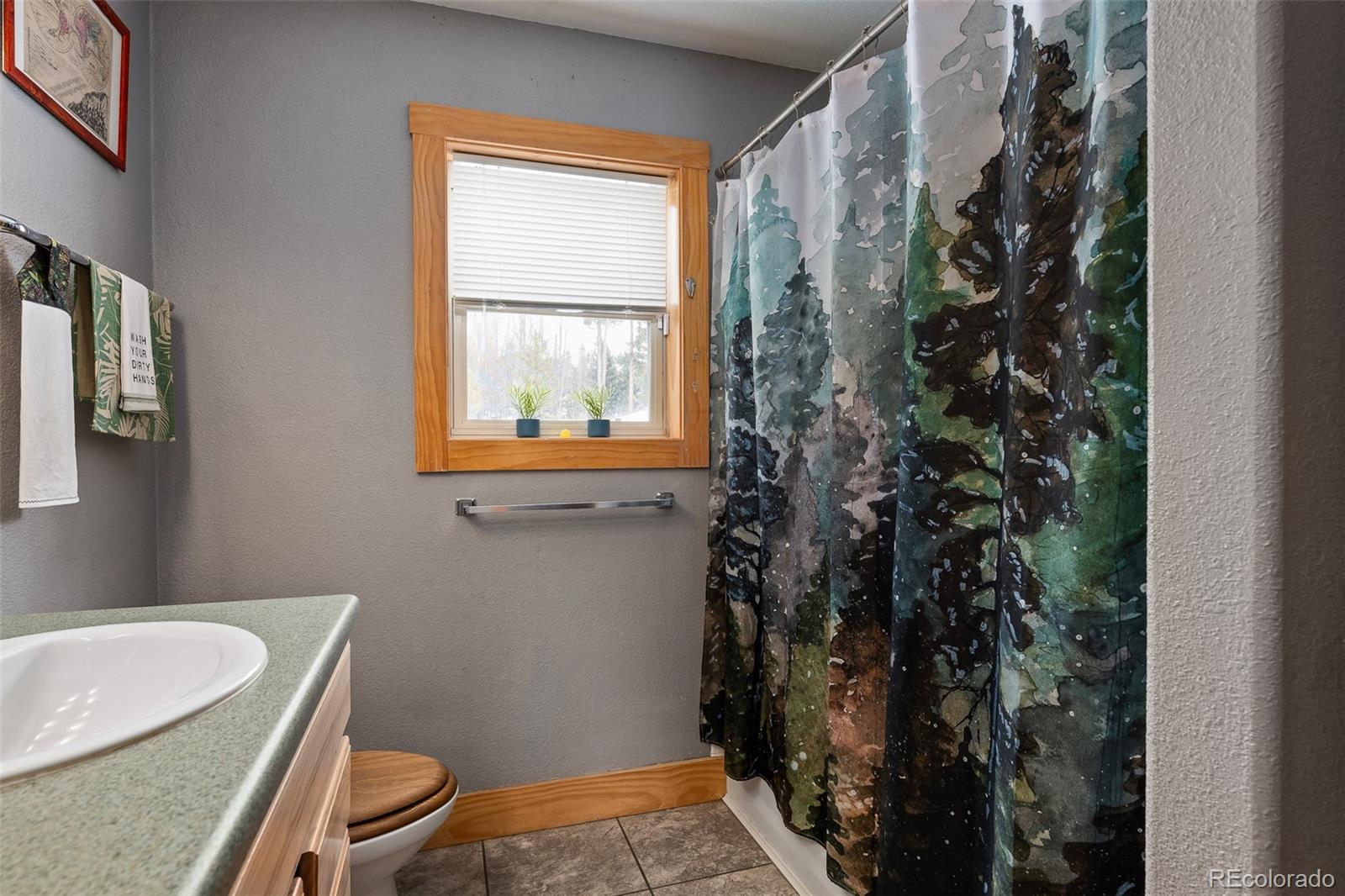 MLS Image #16 for 402  county road 876 ,granby, Colorado