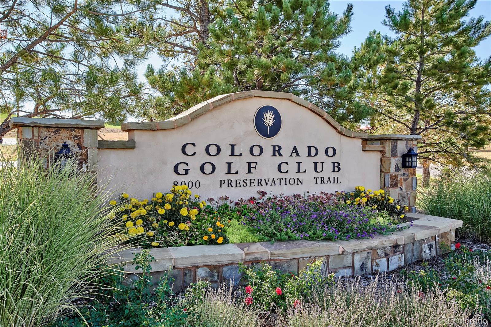 MLS Image #13 for 7838  majestic sky drive,parker, Colorado
