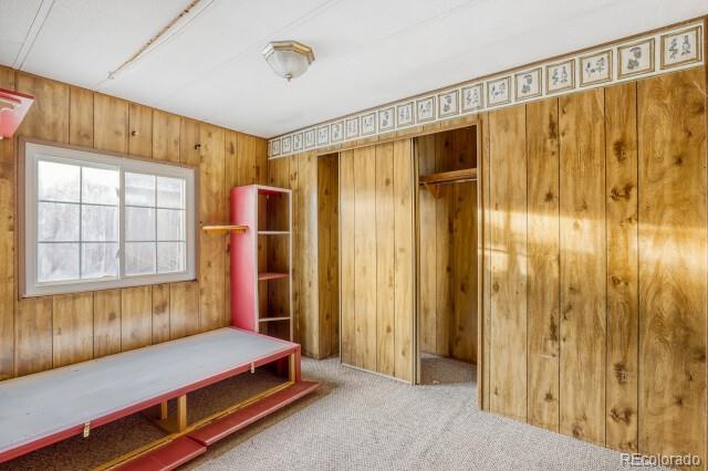 MLS Image #7 for 1215  macintyre court,dacono, Colorado