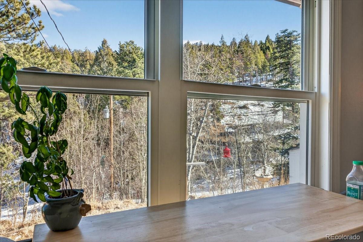 MLS Image #10 for 11827  brook road,golden, Colorado