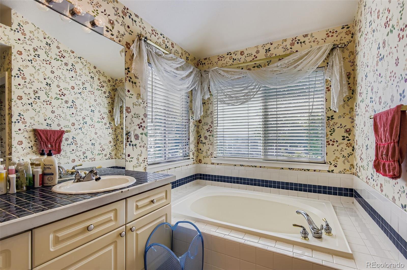 MLS Image #17 for 15904  stonebriar drive,parker, Colorado