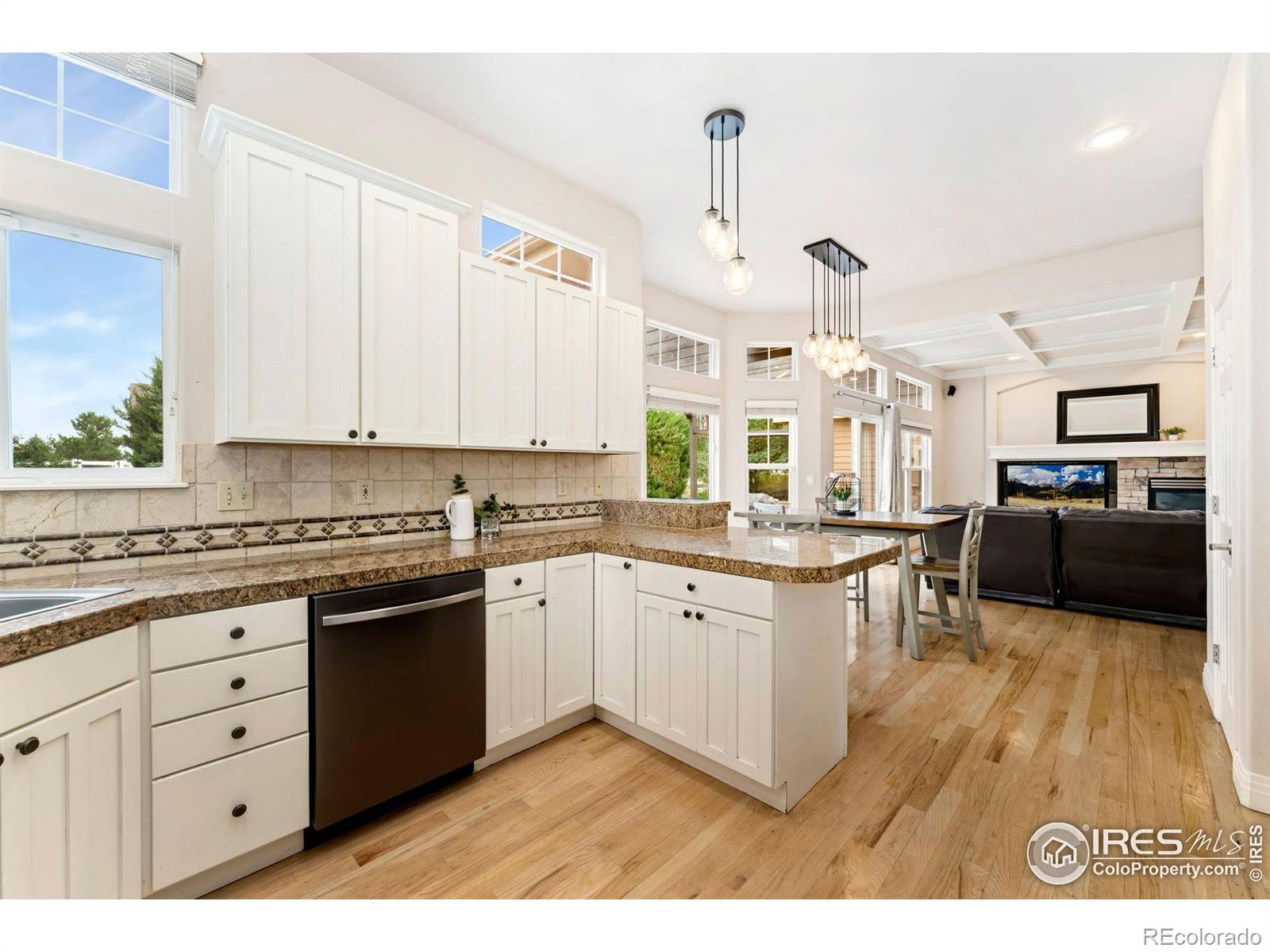 MLS Image #15 for 7990  wisdom court,frederick, Colorado