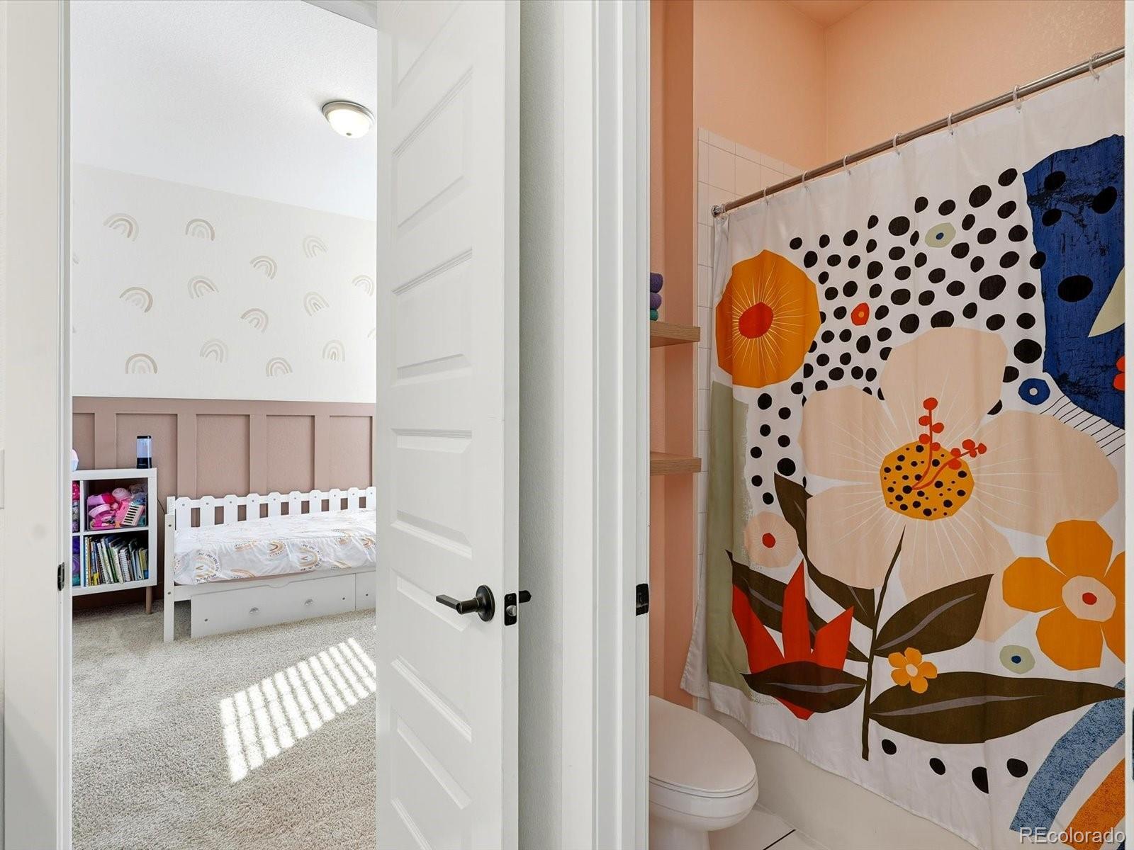 MLS Image #26 for 3268  carabiner street,castle rock, Colorado
