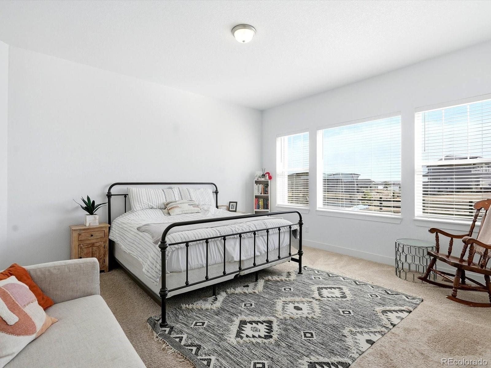 MLS Image #30 for 3268  carabiner street,castle rock, Colorado