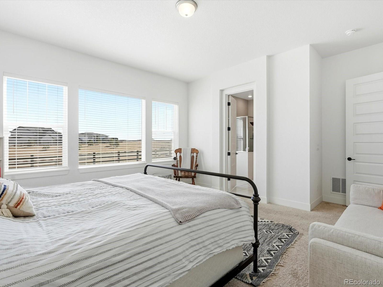 MLS Image #31 for 3268  carabiner street,castle rock, Colorado