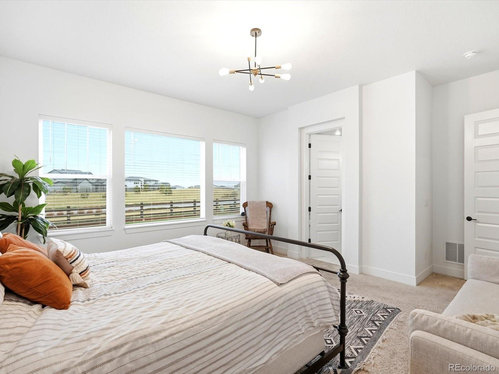 MLS Image #4 for 3268  carabiner street,castle rock, Colorado