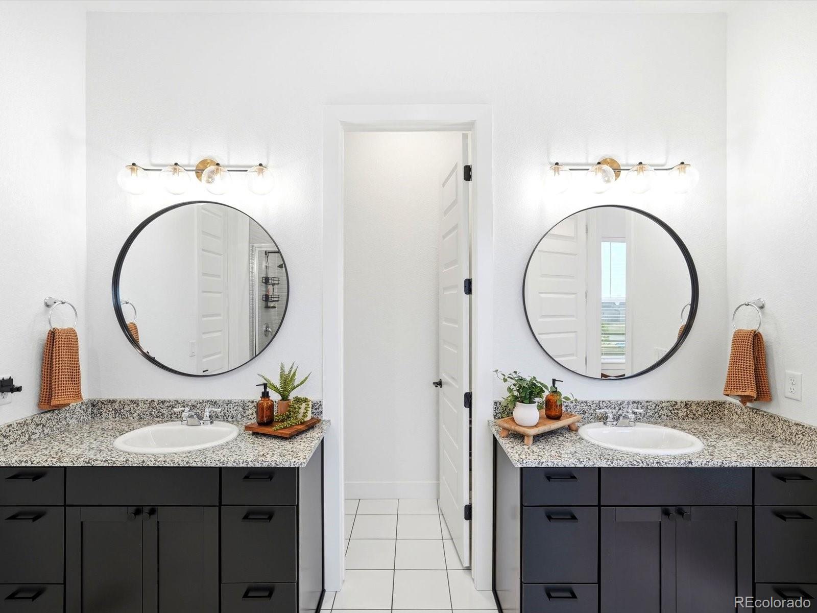MLS Image #5 for 3268  carabiner street,castle rock, Colorado