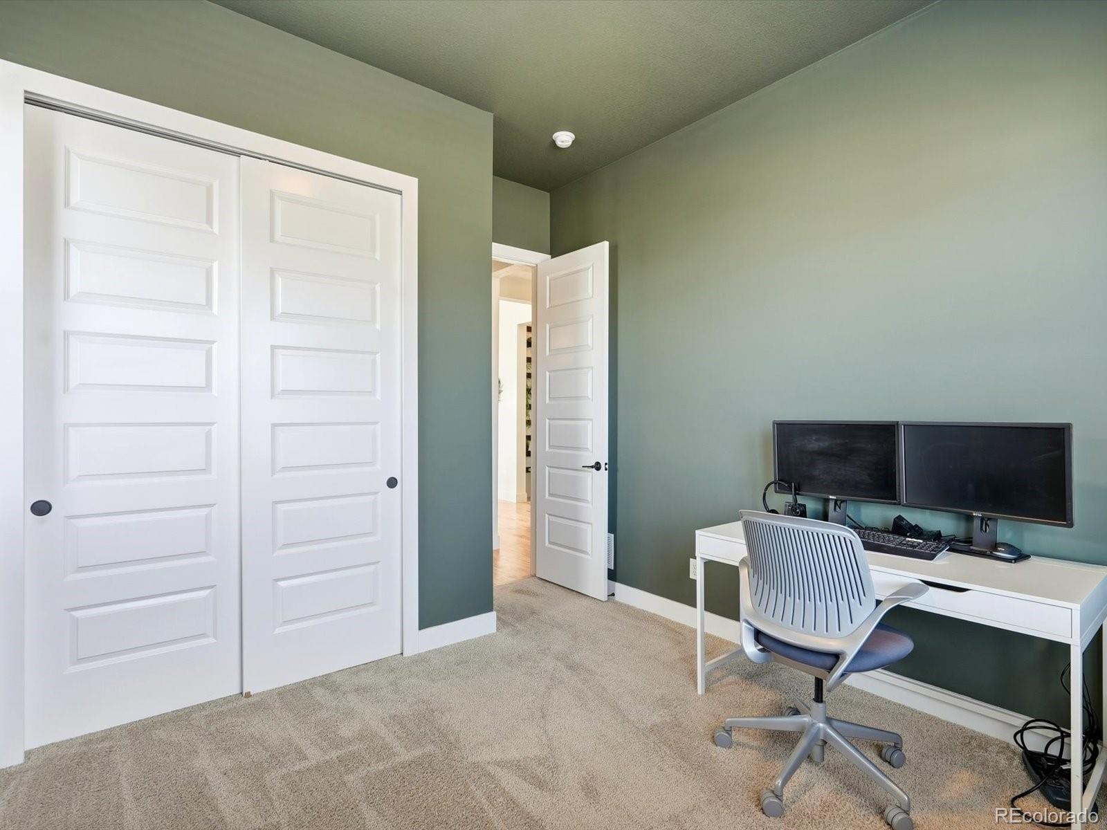 MLS Image #7 for 3268  carabiner street,castle rock, Colorado