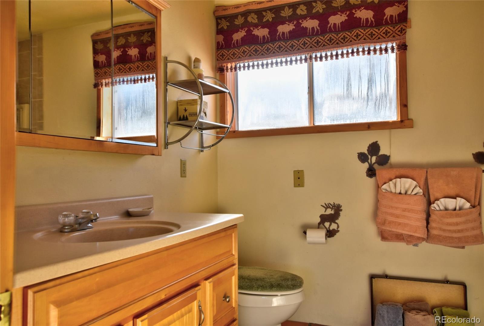 MLS Image #11 for 201  bronco circle,como, Colorado