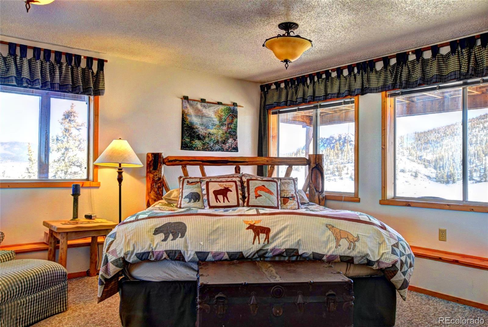 MLS Image #12 for 201  bronco circle,como, Colorado