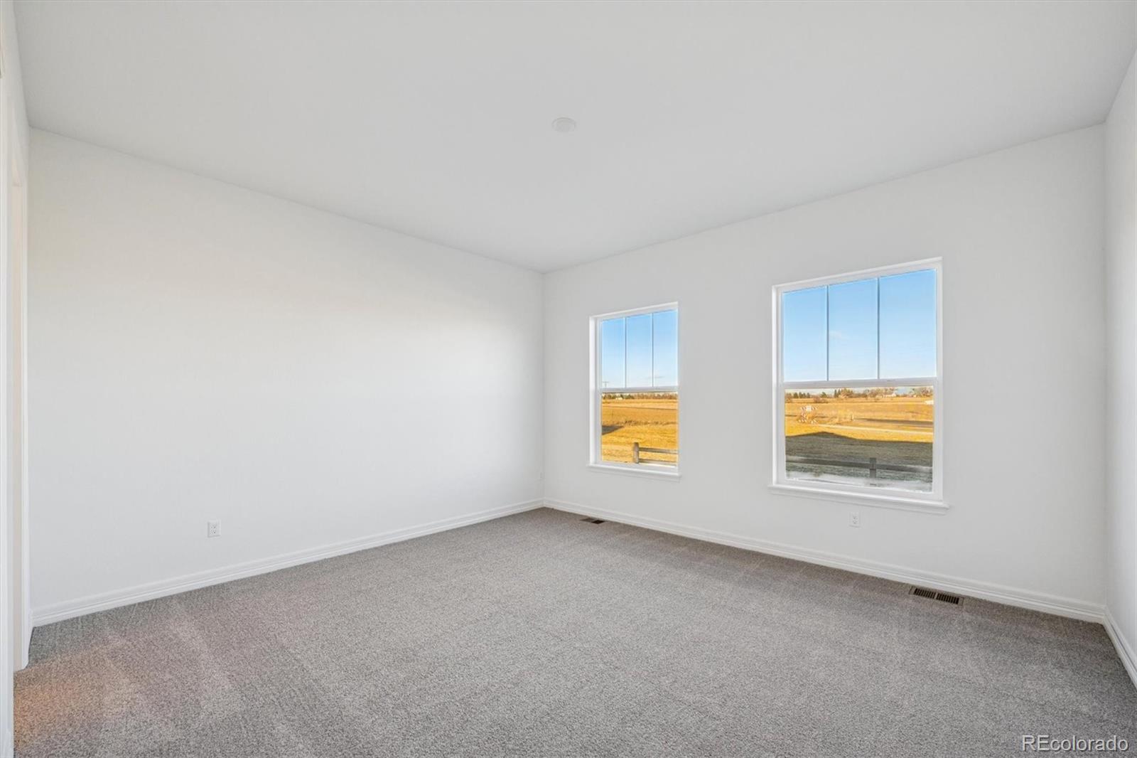MLS Image #10 for 1162  weller street,timnath, Colorado