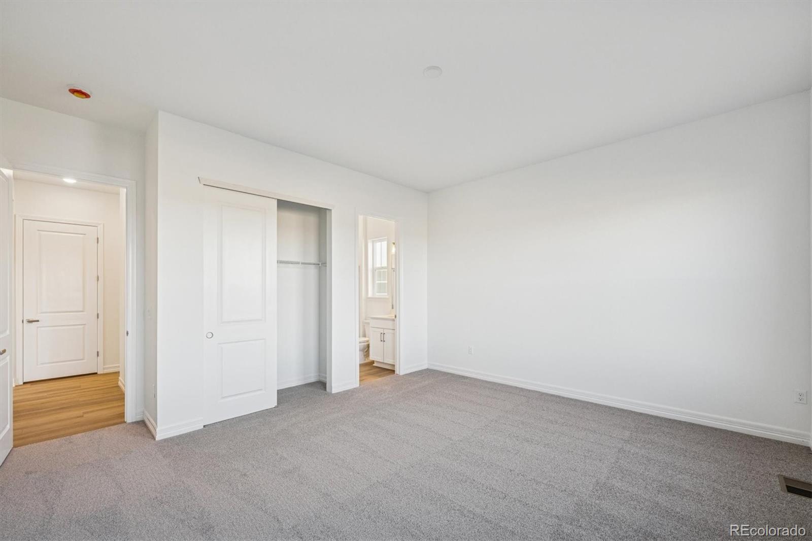 MLS Image #11 for 1162  weller street,timnath, Colorado