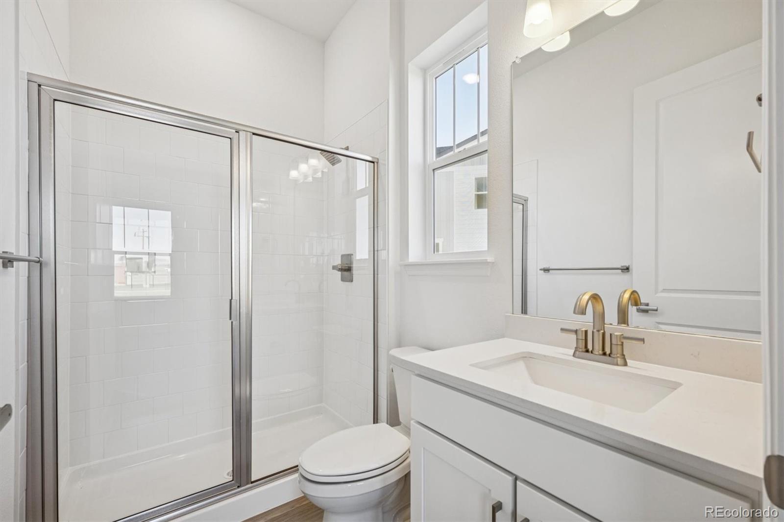MLS Image #12 for 1162  weller street,timnath, Colorado