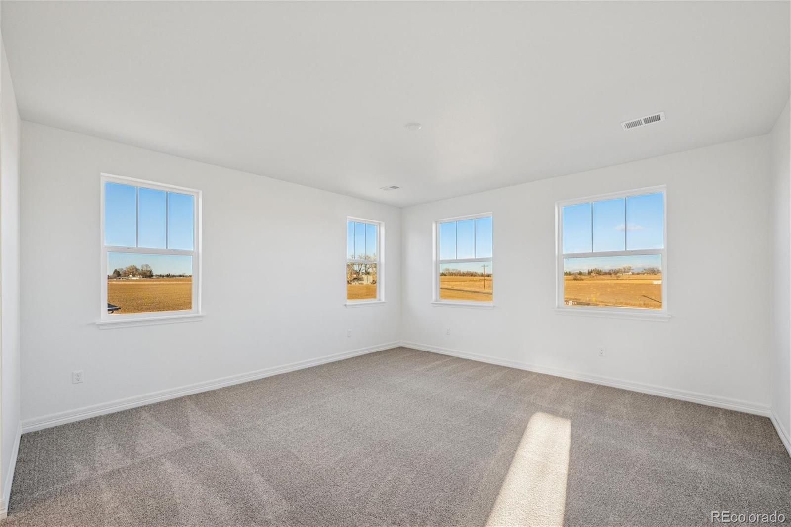 MLS Image #14 for 1162  weller street,timnath, Colorado