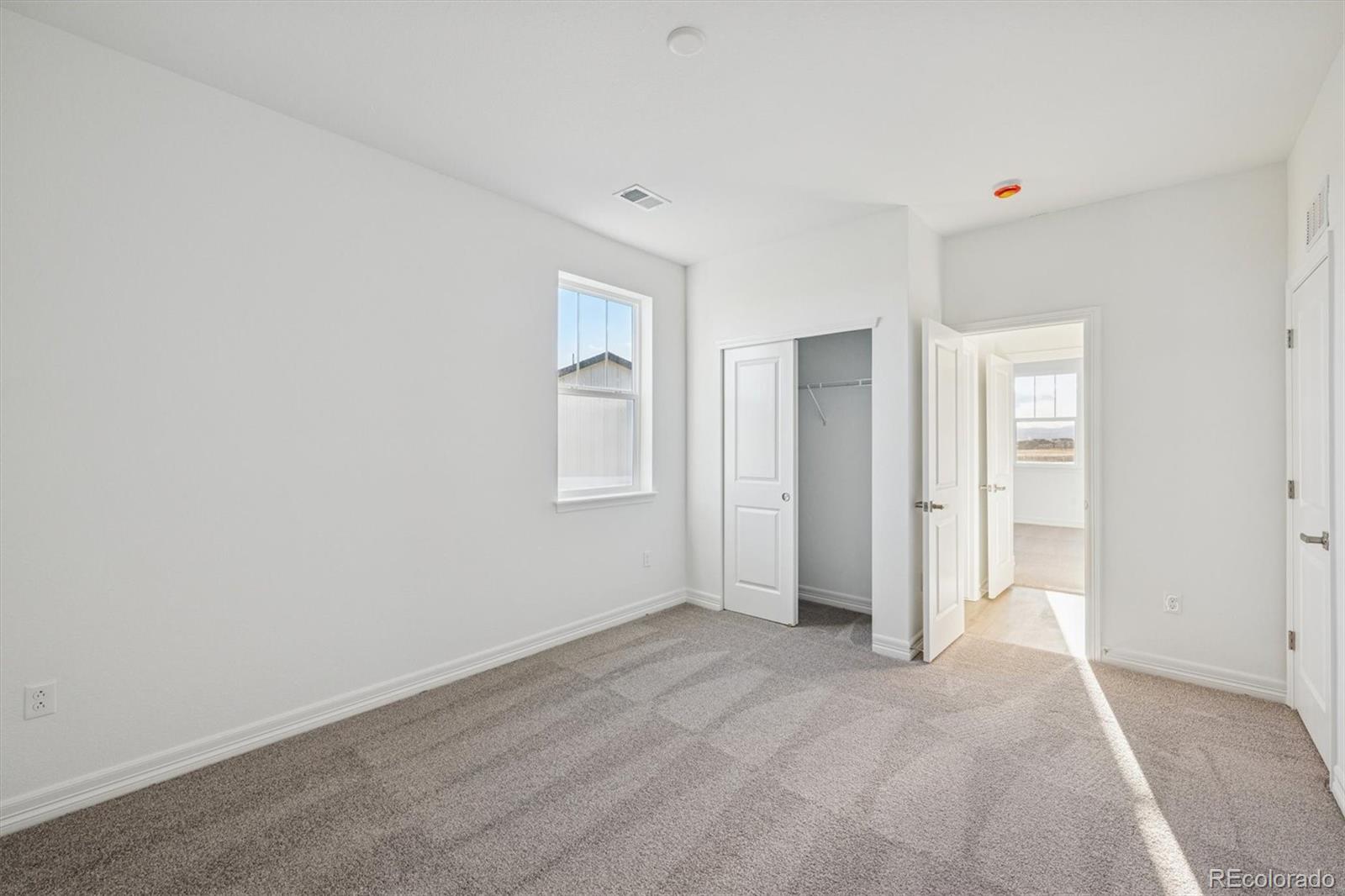 MLS Image #18 for 1162  weller street,timnath, Colorado