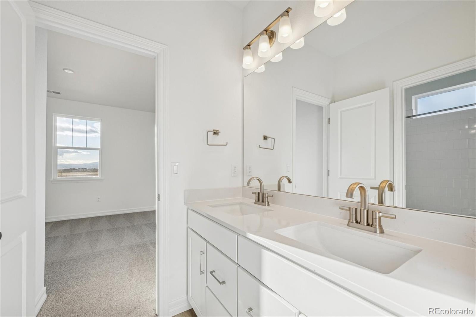 MLS Image #19 for 1162  weller street,timnath, Colorado