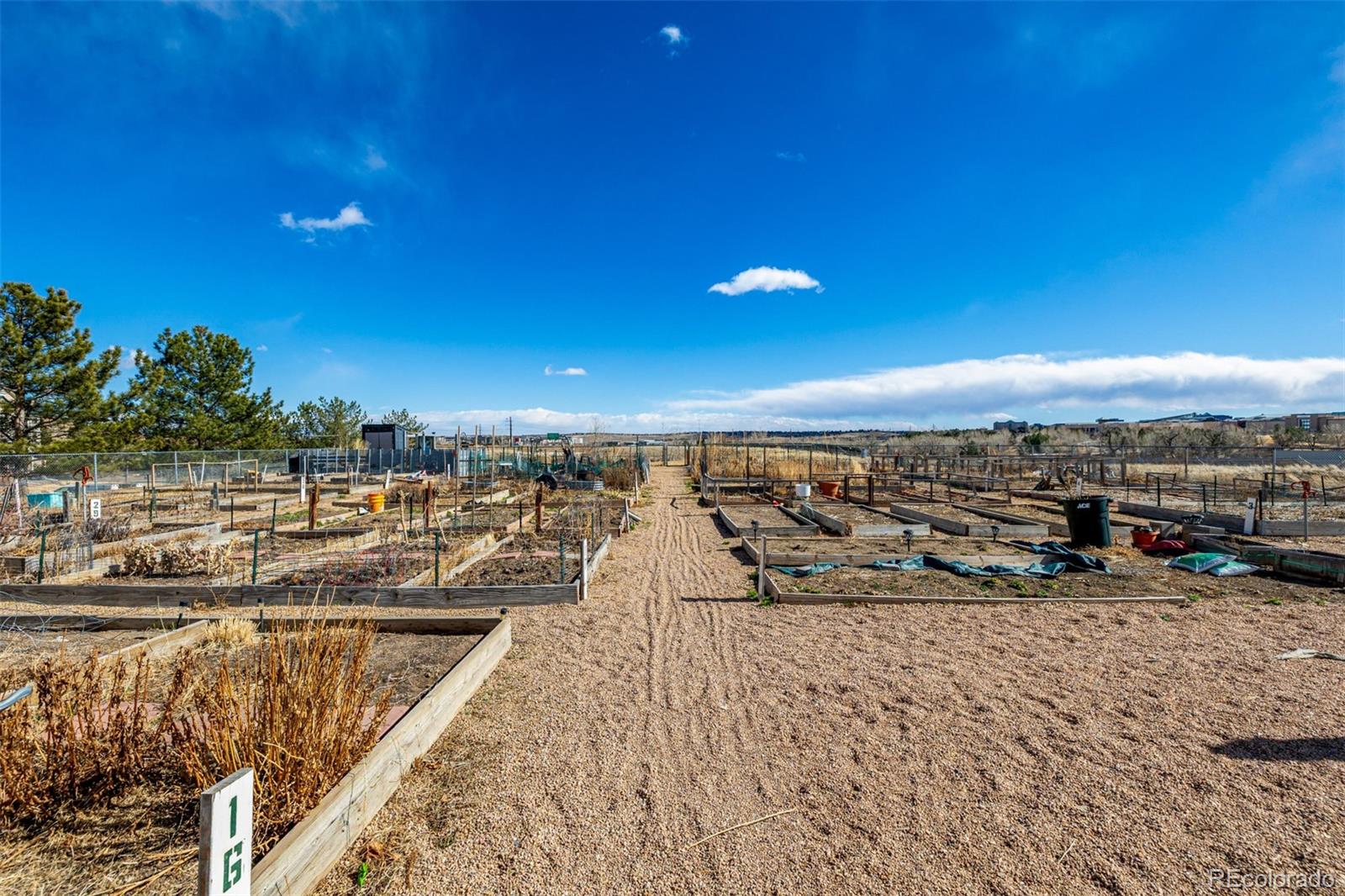 MLS Image #31 for 2175  eagle avenue,superior, Colorado