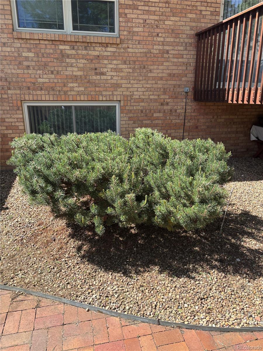 MLS Image #23 for 6505 w 34th avenue,wheat ridge, Colorado