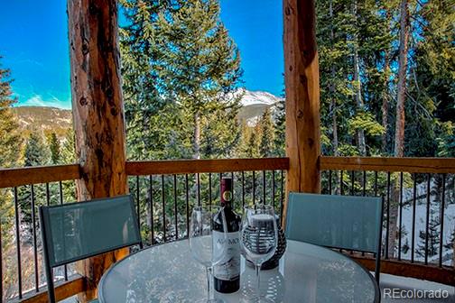 MLS Image #11 for 95  victory lane,breckenridge, Colorado