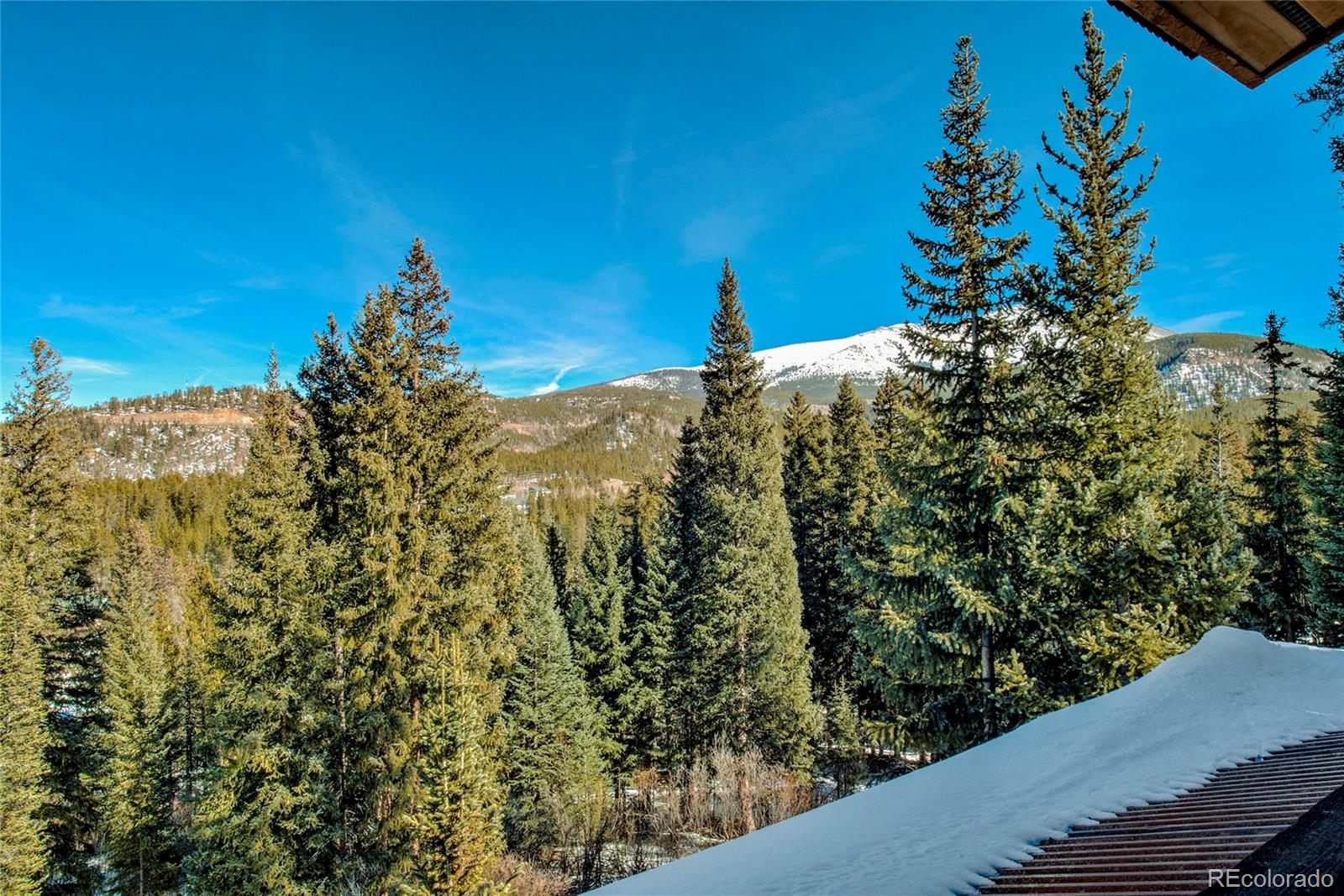 MLS Image #23 for 95  victory lane,breckenridge, Colorado