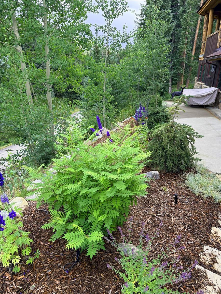 MLS Image #45 for 95  victory lane,breckenridge, Colorado