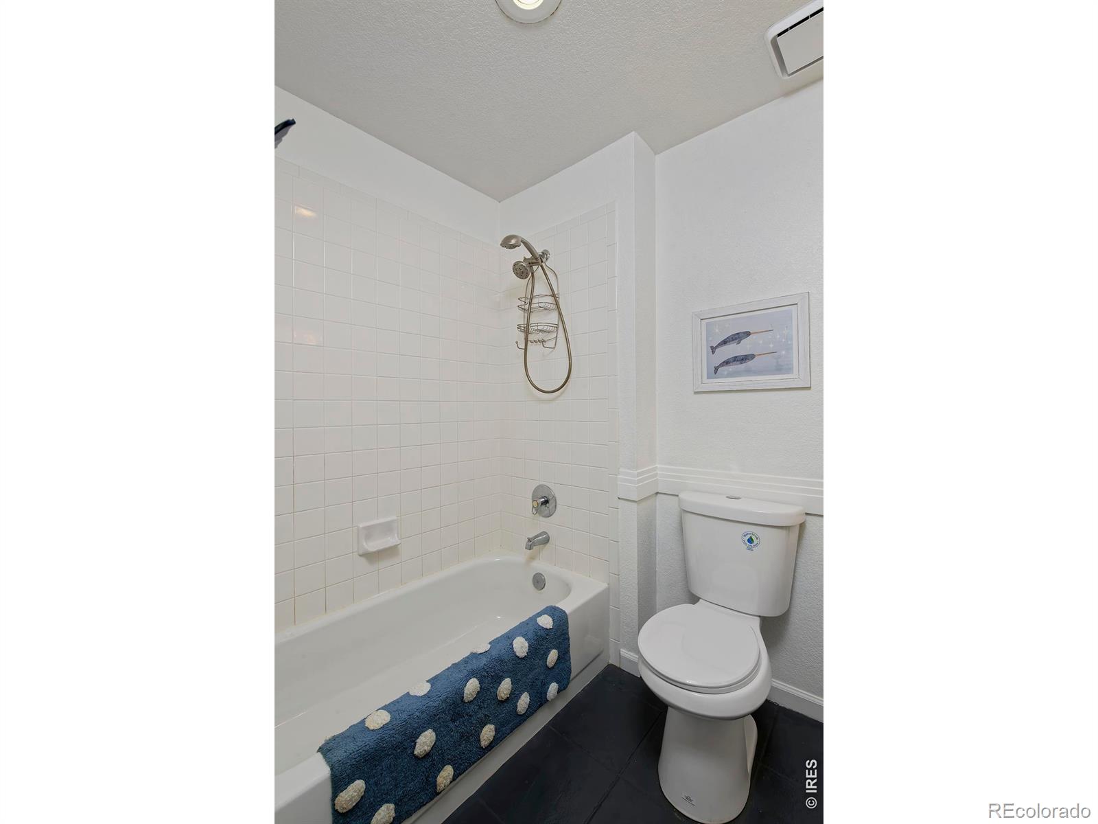 MLS Image #36 for 810  trail ridge drive,louisville, Colorado