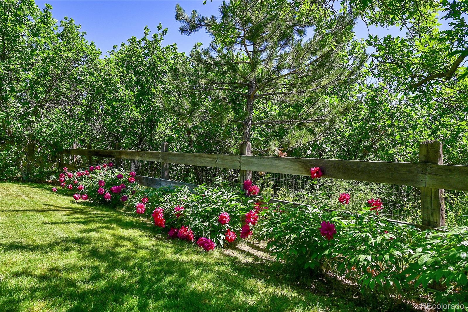 MLS Image #39 for 7808  glen ridge drive,castle pines, Colorado
