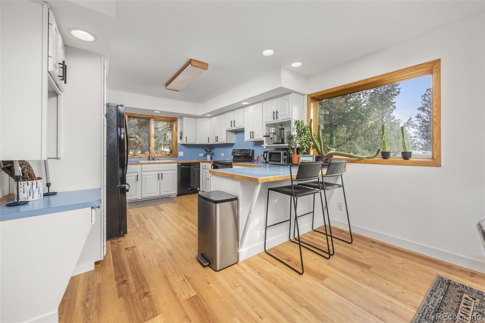 MLS Image #15 for 14  sundown trail,nederland, Colorado