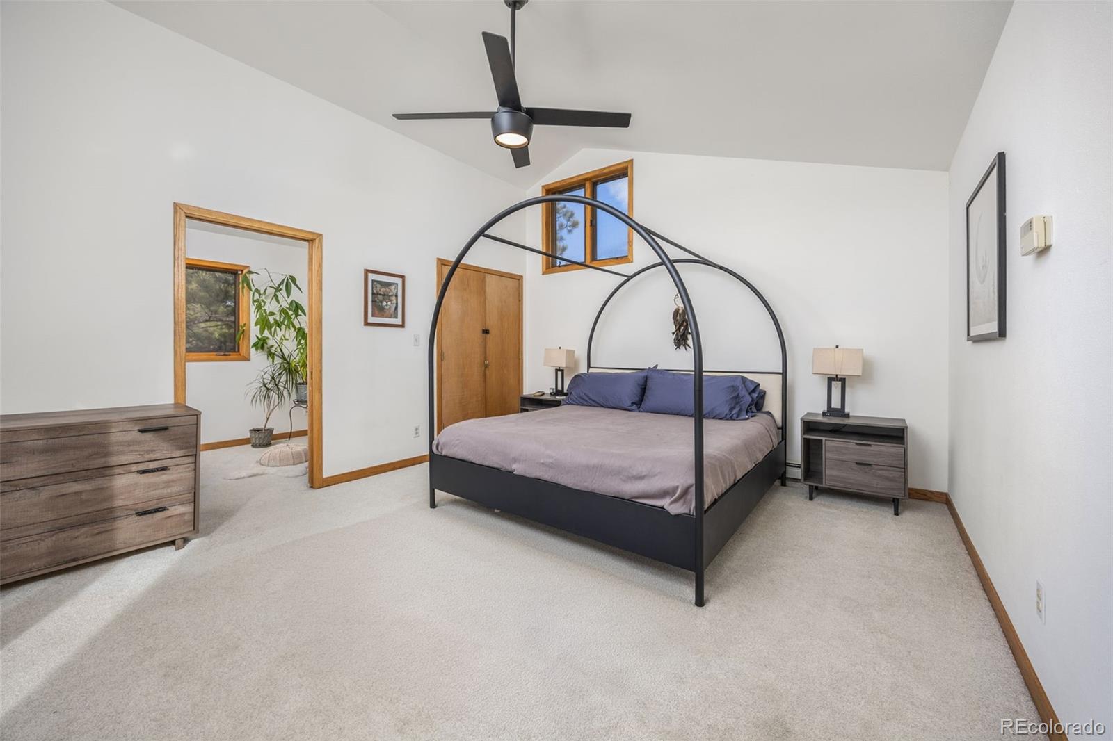 MLS Image #21 for 14  sundown trail,nederland, Colorado